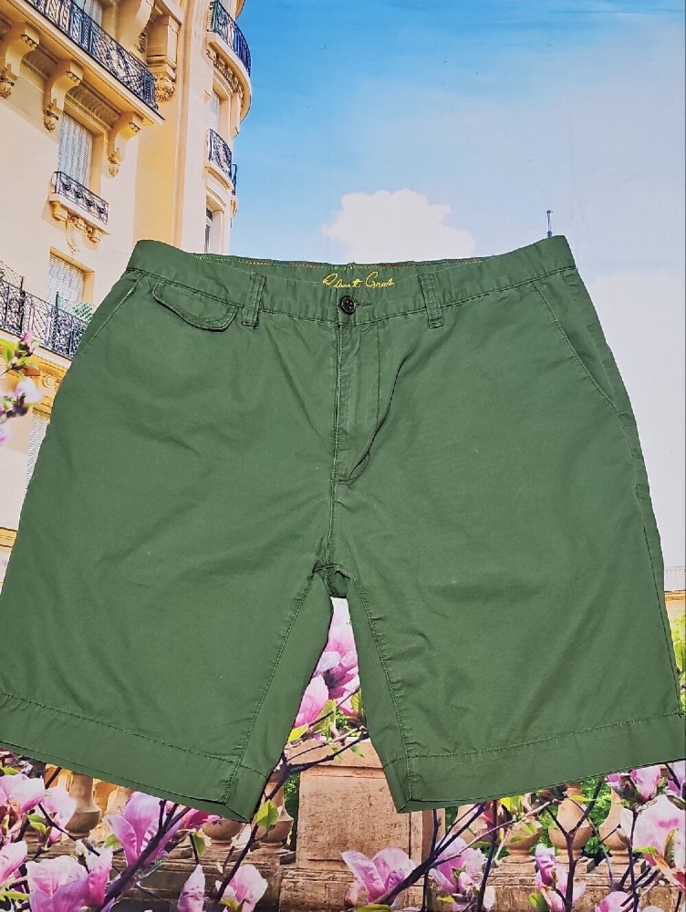 Robert Graham Olive Green Flat-Front Men's Shorts